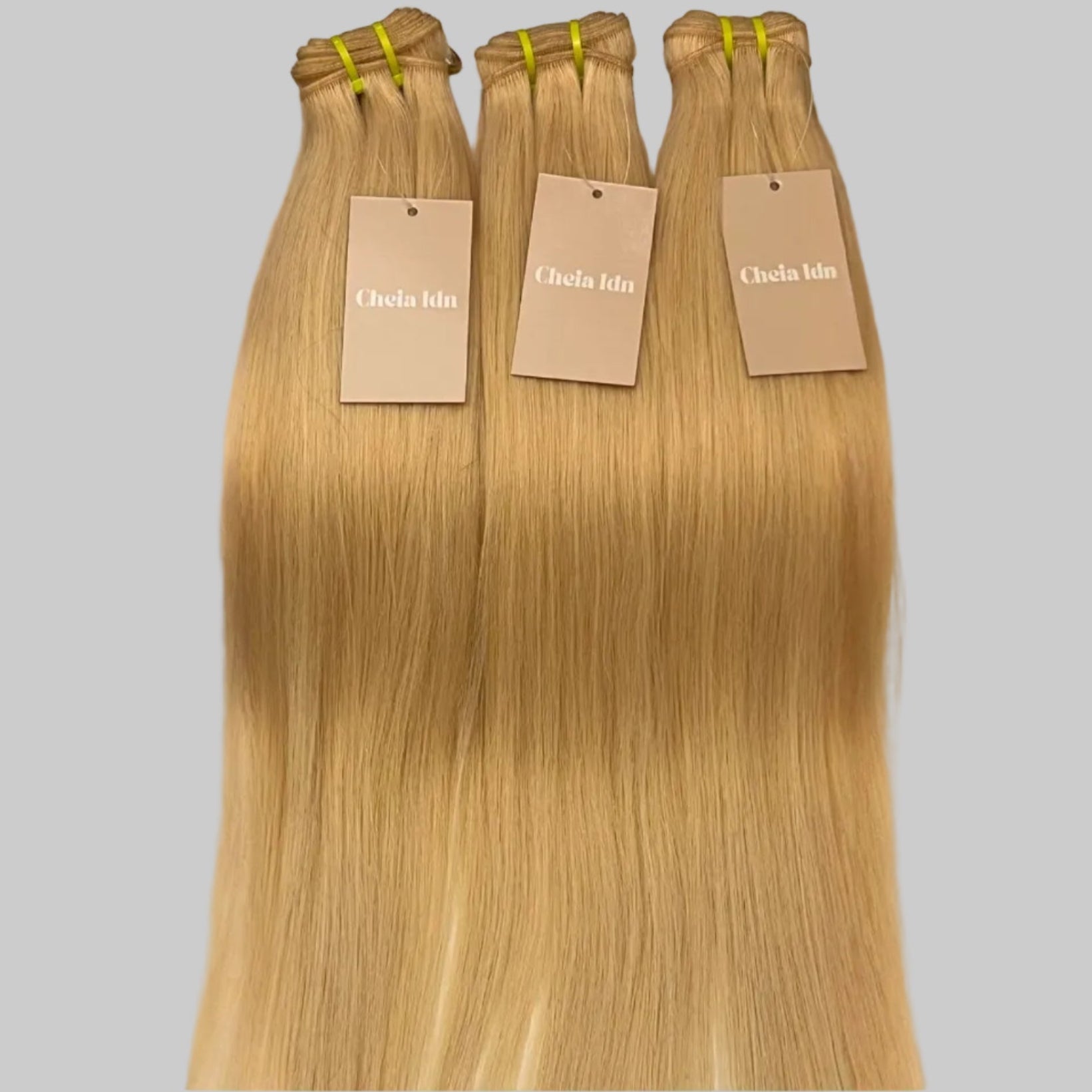 Virgin 613 Bundles